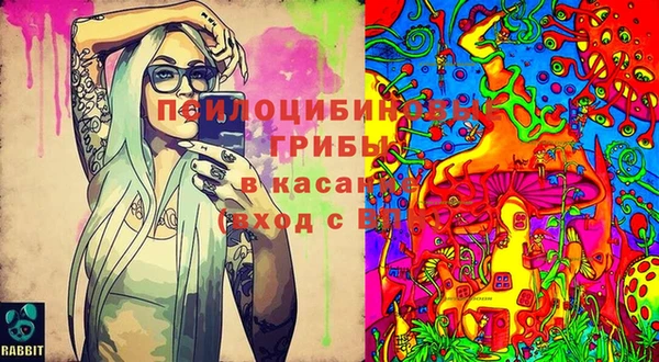 соль ск Сафоново