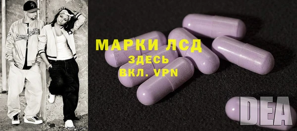 сатива Алзамай