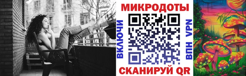 где найти   Асино  Галлюциногенные грибы Cubensis 